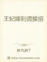 《王妃嫁到请接招》小说封面