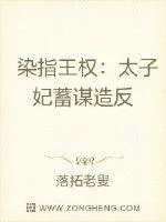 《染指王权：太子妃蓄谋造反》小说封面