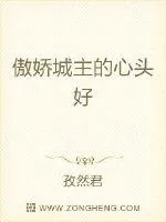 《傲娇城主的心头好》小说封面