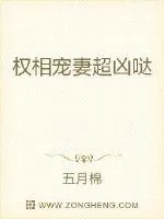 《权相宠妻超凶哒》小说封面