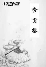 《青鸾鉴》小说封面