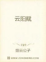 《云阳赋》小说封面