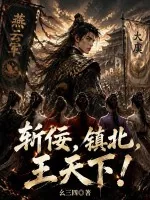 《斩佞，镇北，王天下！》小说封面
