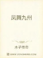 《凤舞九州》小说封面