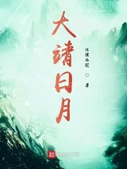 《大靖日月》小说封面