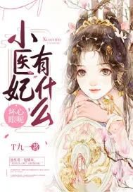 《小医妃有什么坏心眼呢》小说封面