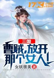 《三国：曹贼，放开那个女人！》小说封面