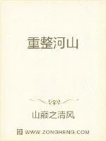 《重整河山》小说封面