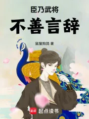 《大宋悍臣》小说封面