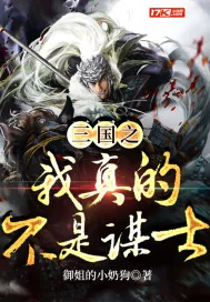 《三国之我真的不是谋士》小说封面