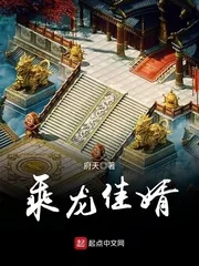 《乘龙佳婿》小说封面