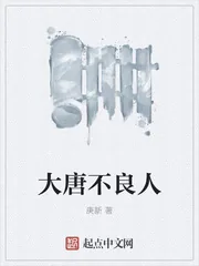 《大唐不良人》小说封面