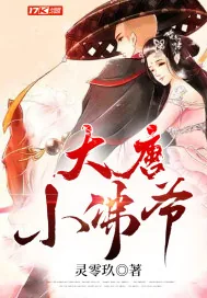 《大唐小佛爷》小说封面