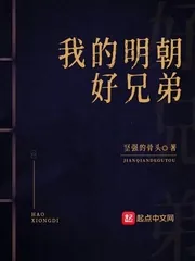 《我的明朝好兄弟》小说封面