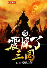 《我，震惊了三国！》小说封面