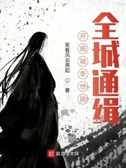 《开局被李世民，全城通缉》小说封面