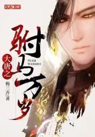 《大唐之驸马万岁》小说封面