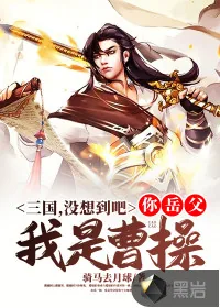 《三国：没想到吧，你岳父我是曹操》小说封面