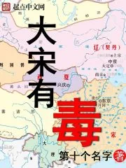 《大宋有毒》小说封面