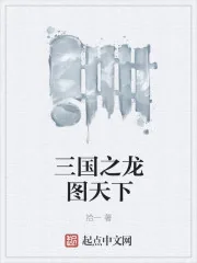《三国之龙图天下》小说封面