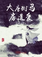 《大唐驸马房遗爱》小说封面