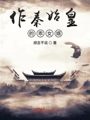 《作秦始皇的乖女婿》小说封面