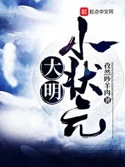《大明小状元》小说封面