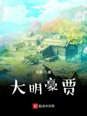 《大明豪贾》小说封面
