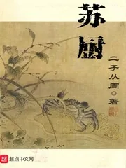 《苏厨》小说封面