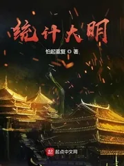 《统计大明》小说封面