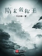 《隋末我称王》小说封面