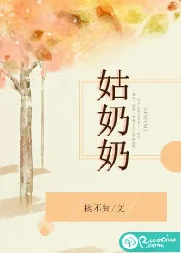 《姑奶奶》小说封面