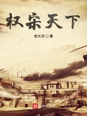 《权宋天下》小说封面