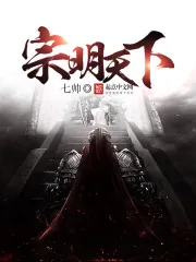 《宗明天下》小说封面