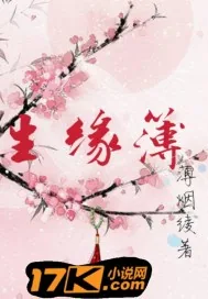 《生缘簿》小说封面