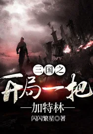 《三国之开局一把加特林》小说封面