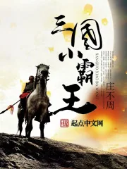 《三国小霸王》小说封面