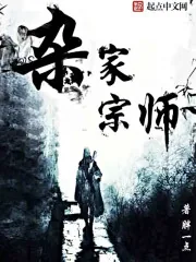 《杂家宗师》小说封面
