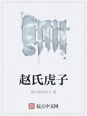 《赵氏虎子》小说封面