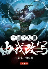 《三国之乱世由我改写》小说封面