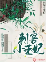 《刺客小王妃》小说封面