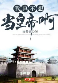 《我真不想当皇帝啊》小说封面