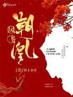 《凤飞朝凰》小说封面