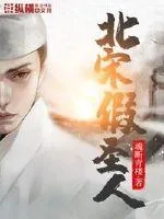 《北宋假圣人》小说封面