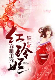 《盲眼王爷红玲妃》小说封面