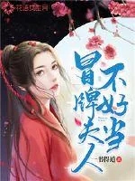 《冒牌夫人不好当》小说封面