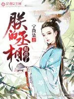 《朕的丞相有喜了》小说封面