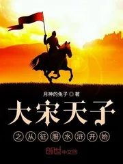 《大宋天子之从征服水浒开始》小说封面