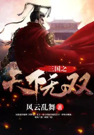 《三国之天下无双》小说封面