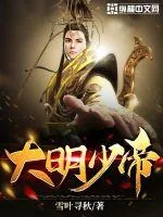 《大明少帝》小说封面